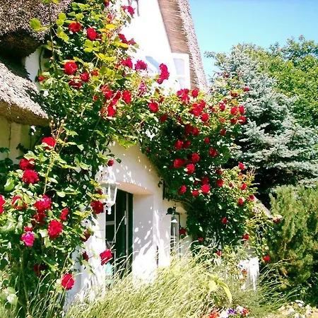 بيت للعطل Gaestehaus Andresen-warft *